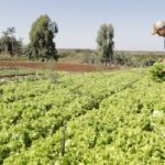 IPP sobe 2,37% em março; fevereiro cai 0,16%, diz IBGE