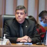 Programa Protetores Mirins combate maus-tratos a animais