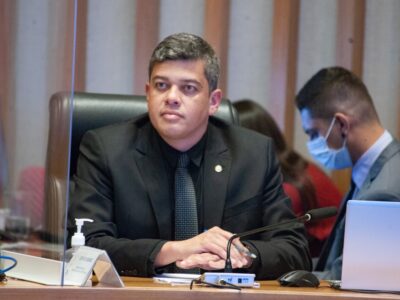 Programa Protetores Mirins combate maus-tratos a animais