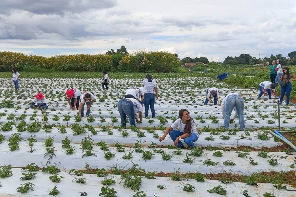 Mais de 100 mulheres certificadas em programa rural em Brazlândia