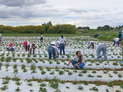 Mais de 100 mulheres certificadas em programa rural em Brazlândia