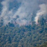 Helicópteros colidem em combate a incêndio na Grécia